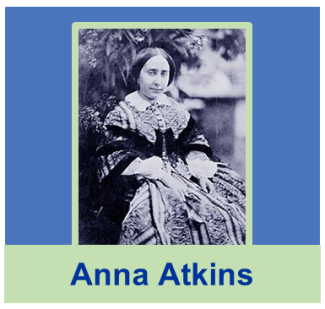 Anna Atkins, botaniste et photographe