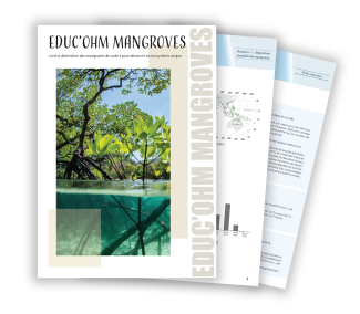 Educ'OHM - Mangroves