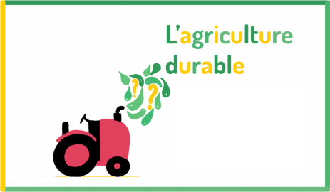 Image du jeu "L'agriculture durable"