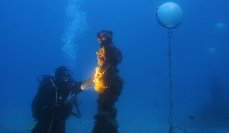 Lumière de la mer