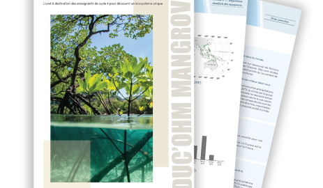 Educ'OHM - Mangroves