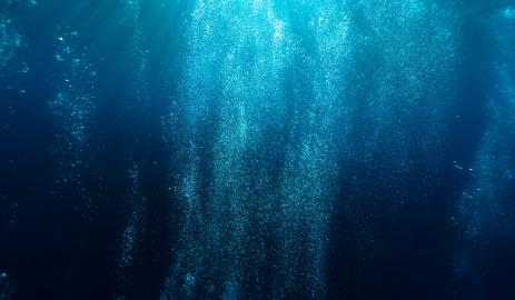 Pourquoi la vie galère dans l'océan ? 